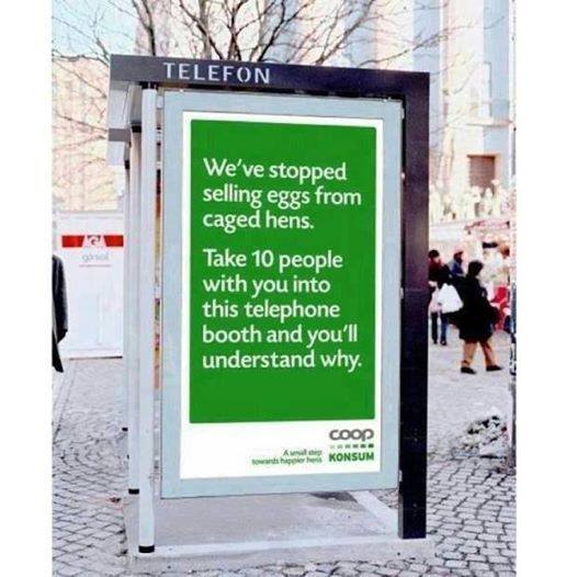 Coop Egg Advertising